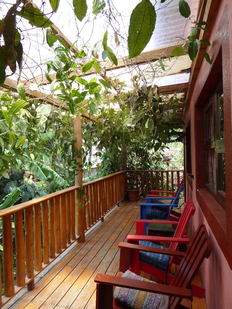 La Iguana Perdida - Hostel