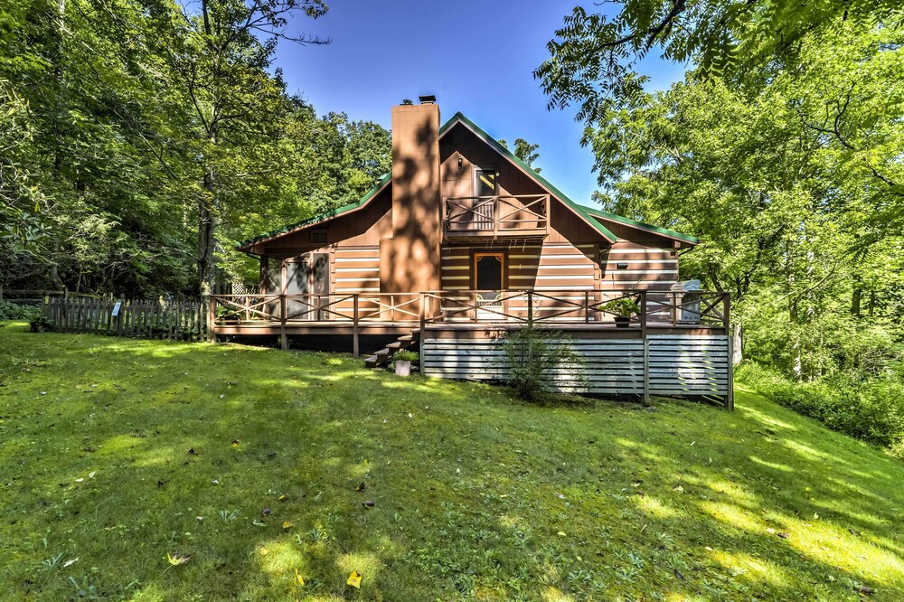 Black Mountain Cabin w/ Screened Porch + Views! view 3