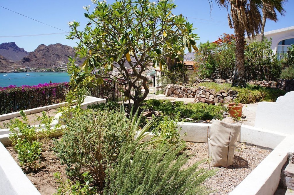 Caracol Peninsula 547 3 Studios del Caracol 1 Bedroom Apartment By Seaside San Carlos
