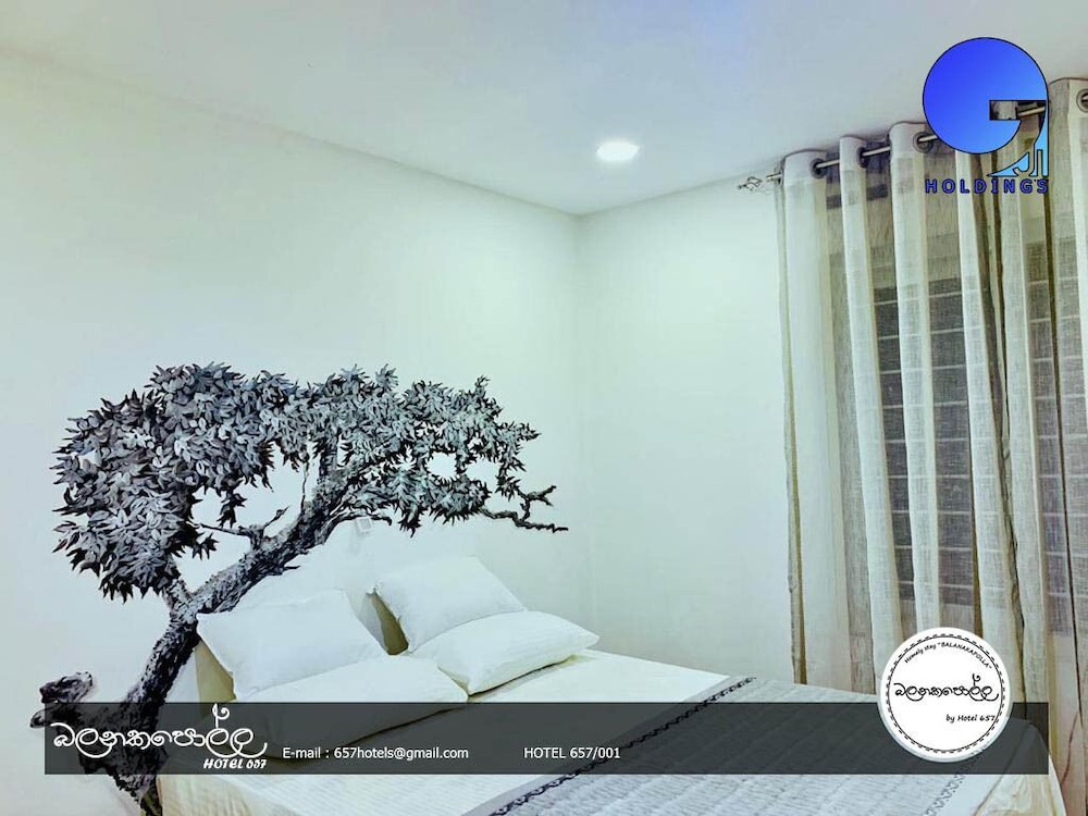 Homely Stay Balana Kapolla view 2