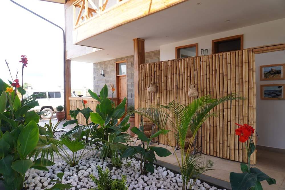 Moyoni Africa Lodge & Tours
