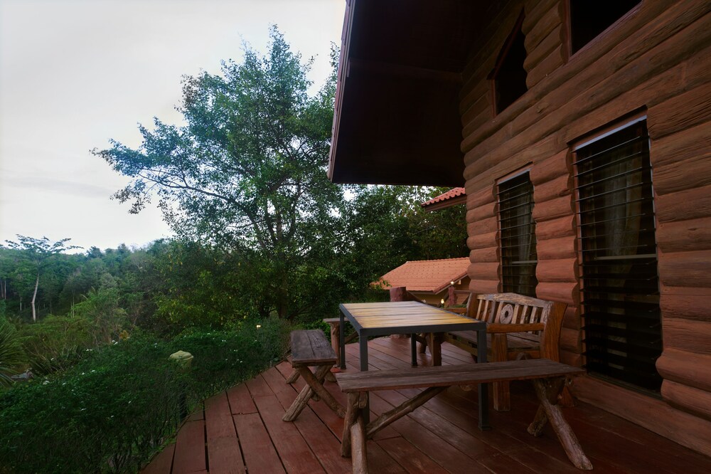 Photo 43