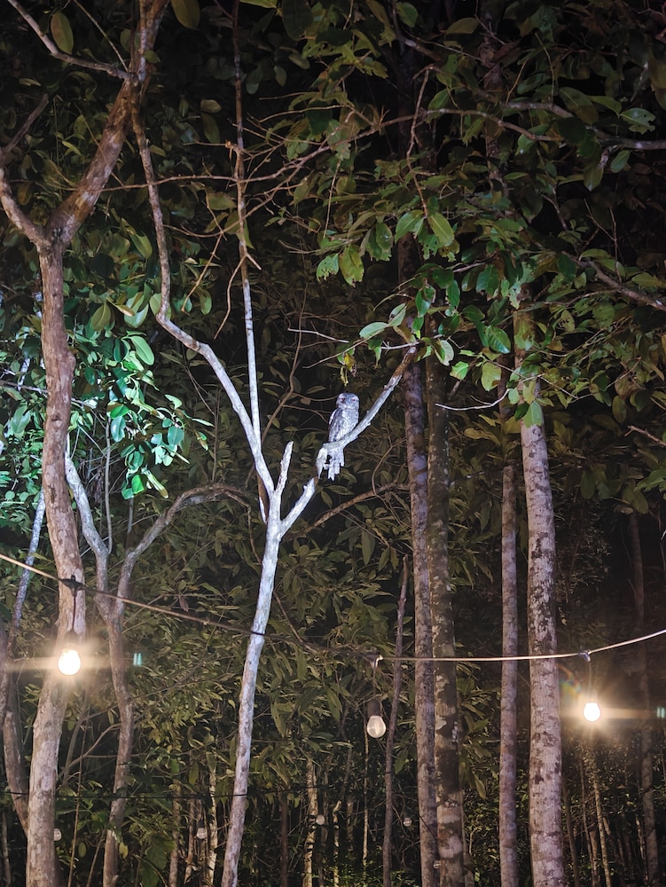 Lainkalogos Glamping
