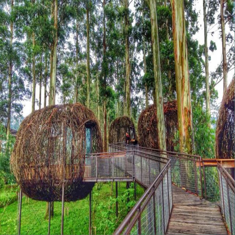 Villa Sasky Ciater Highland