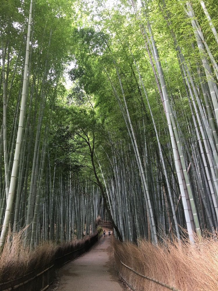Tsubame-ya - Hostel