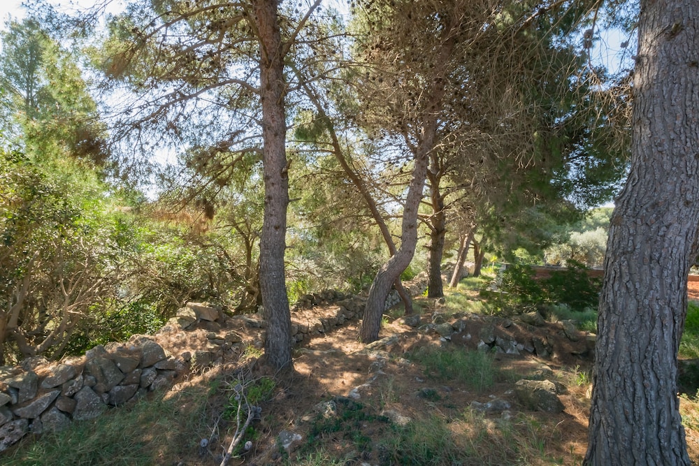 Guesthouse Villa Ilios view 3