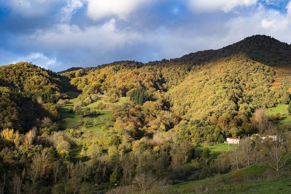 Apartamentos Los Picos de Europa view 4