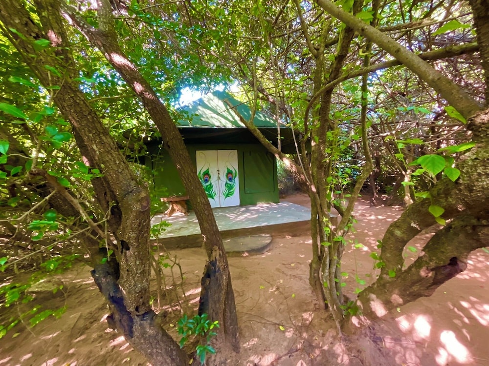 Podi Hoona Yala Safari Camp