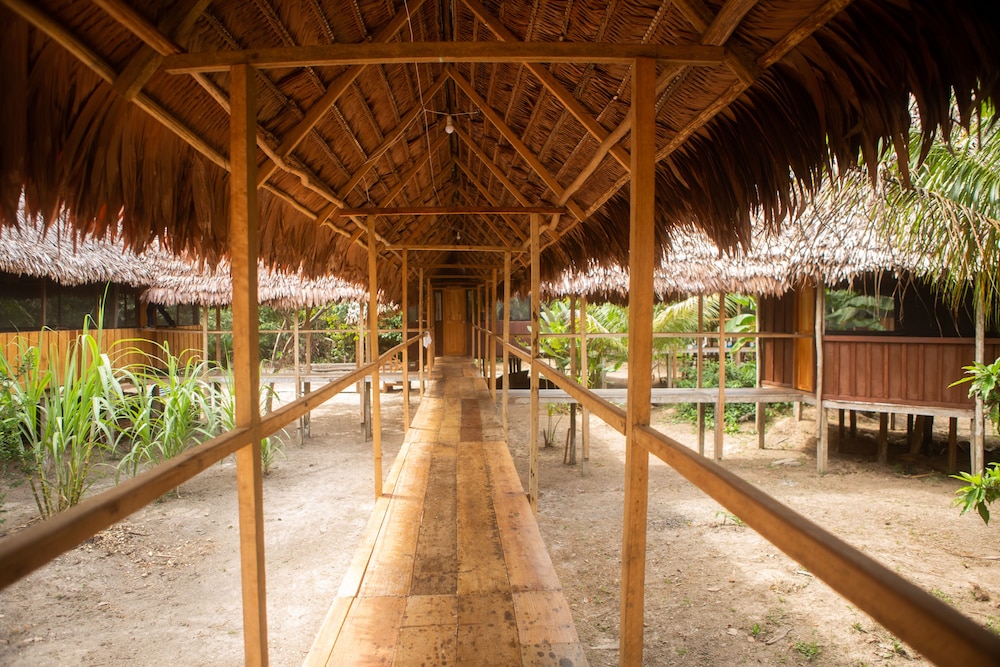Eywa Lodge Amazonas: Luxurious Eco Escape – All-Inclusive Adventure in the Amazon