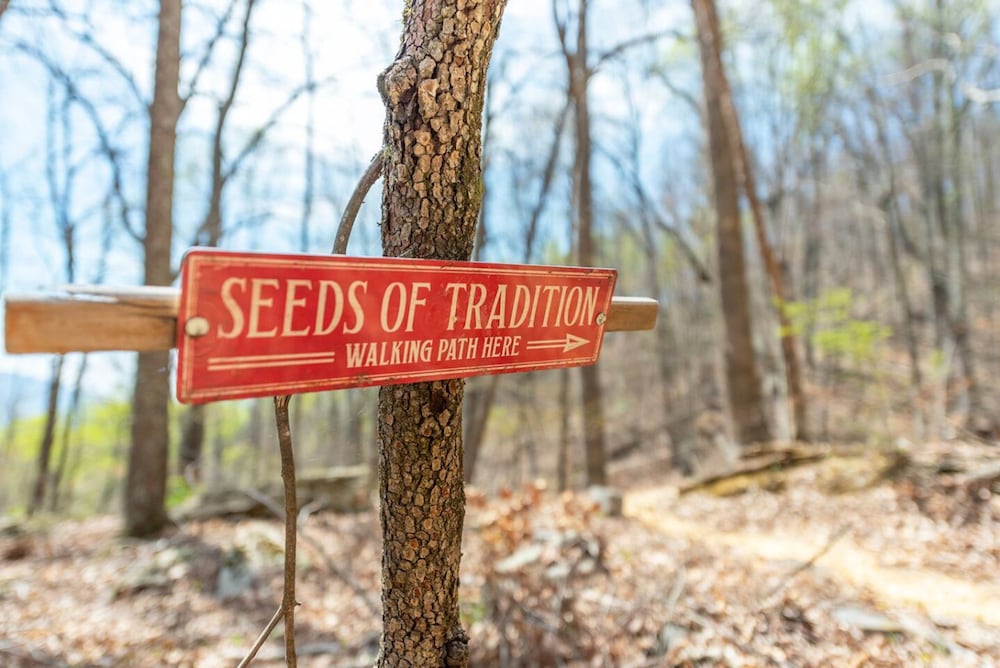 Heart Soul Log Cabin Sanctuary w Walking Trails