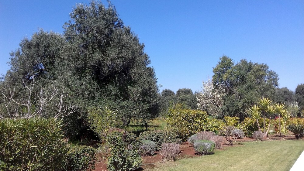 Photo 29