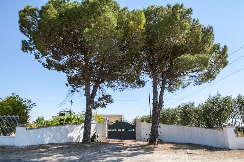 Casolare I Tre Ulivi, photo 2