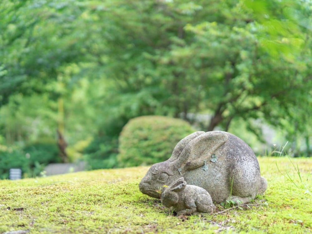 Narashino no sato Gyokusui -6 years or older-