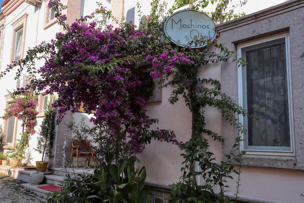 Moshinos Otel - Image 5