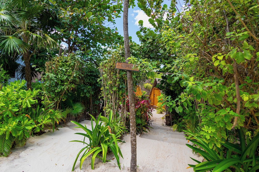 Mía Tulum Tribe