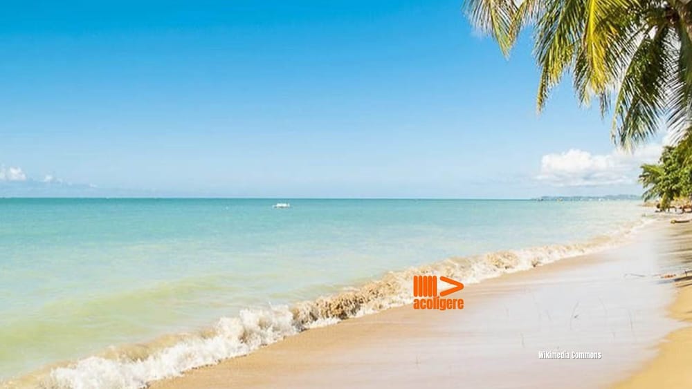 Home Beach Flats Conforto