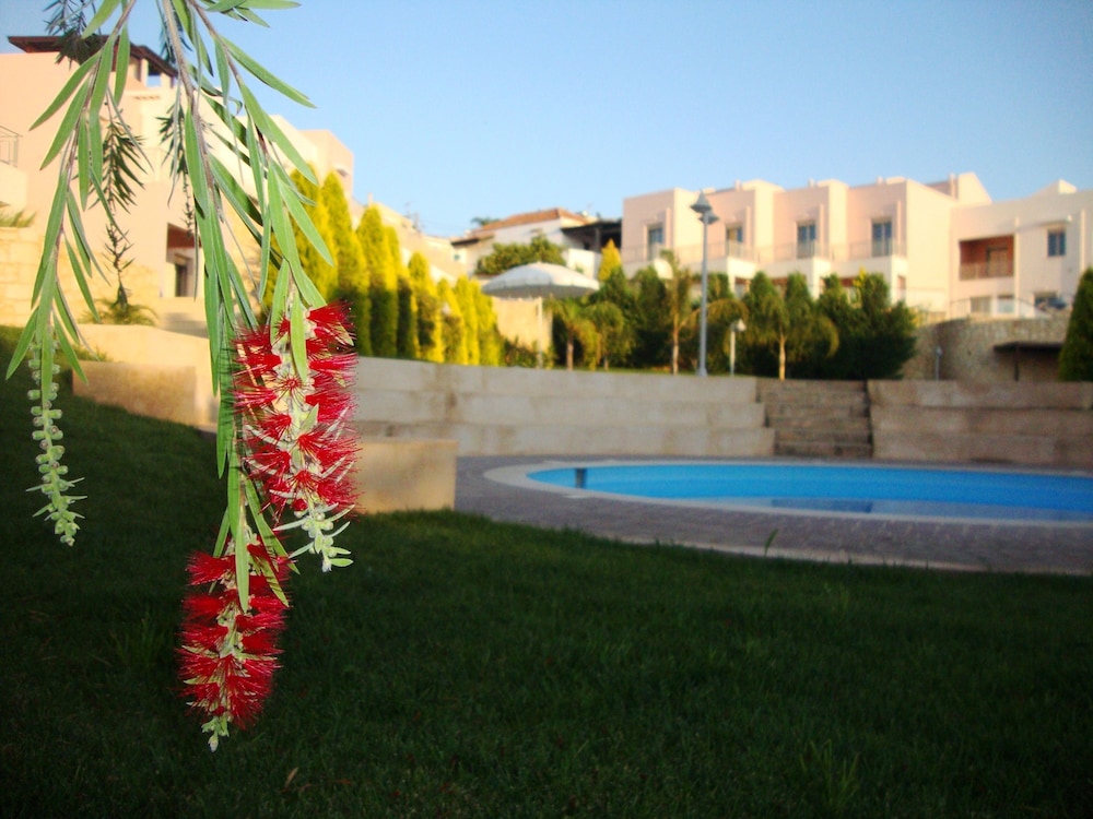 Photo 48