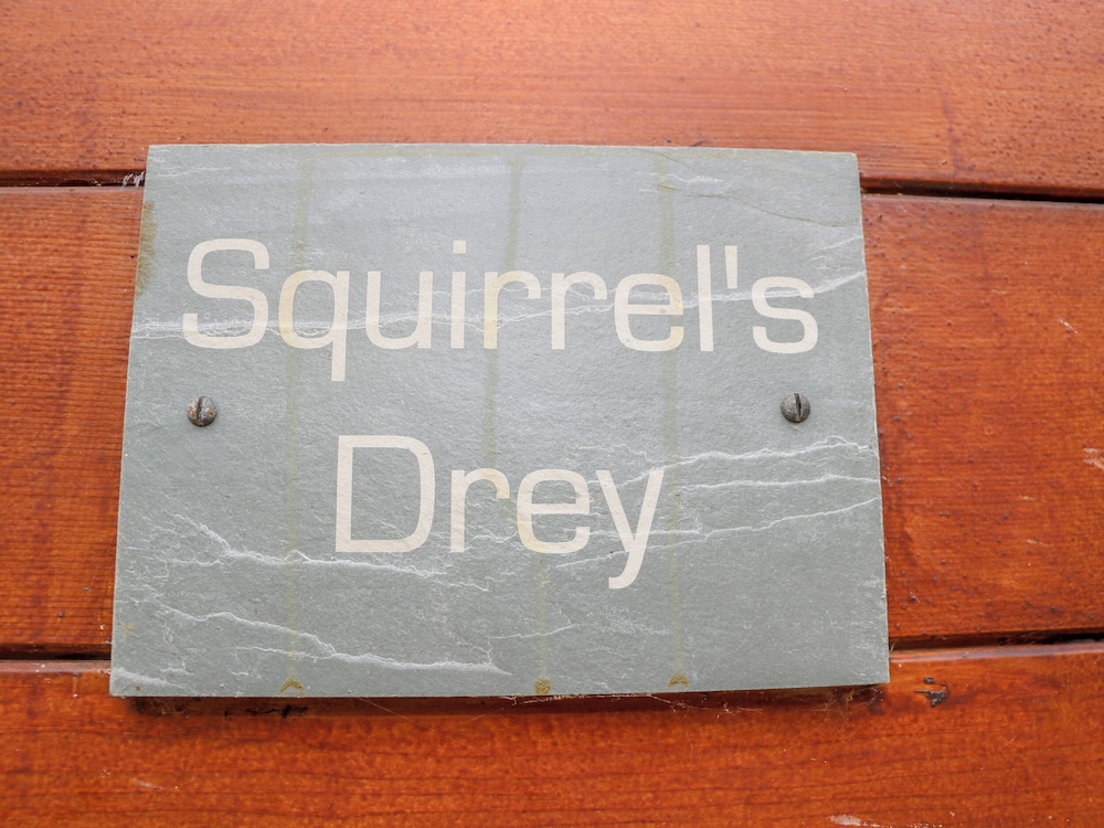 Squirrels Drey