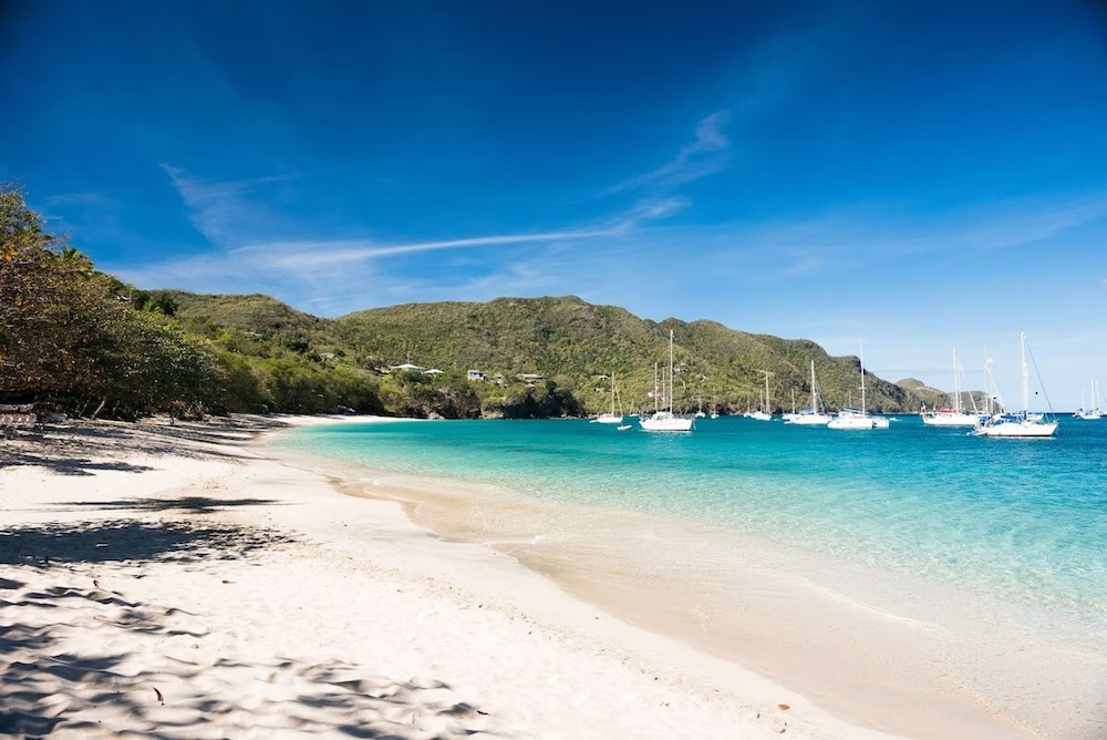Flamingo Bequia - 4 B R Villa Including Cottage