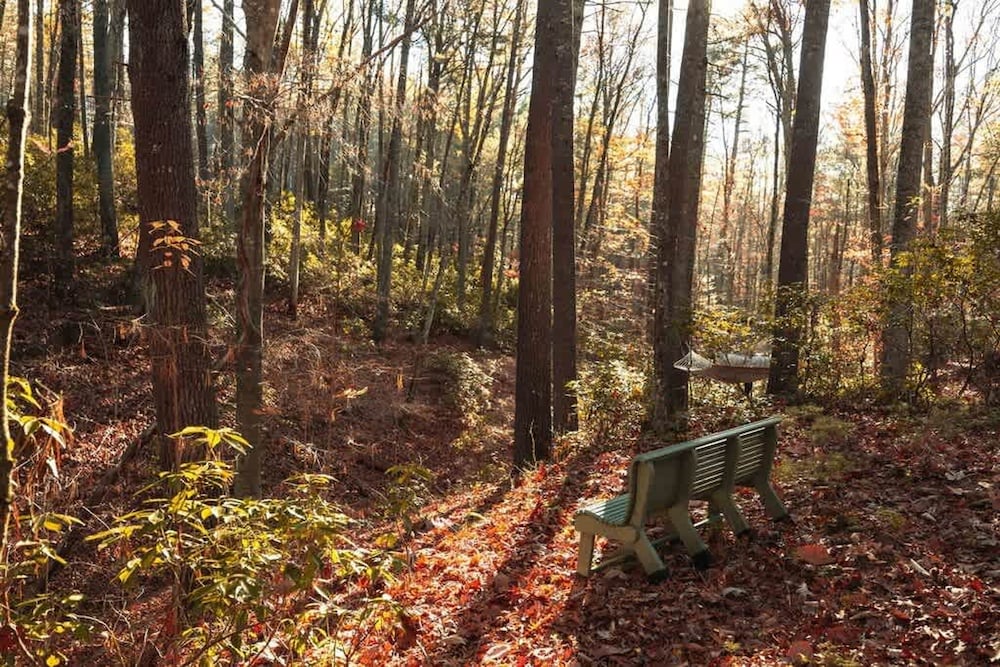 Blue Ridge Beech Cabin