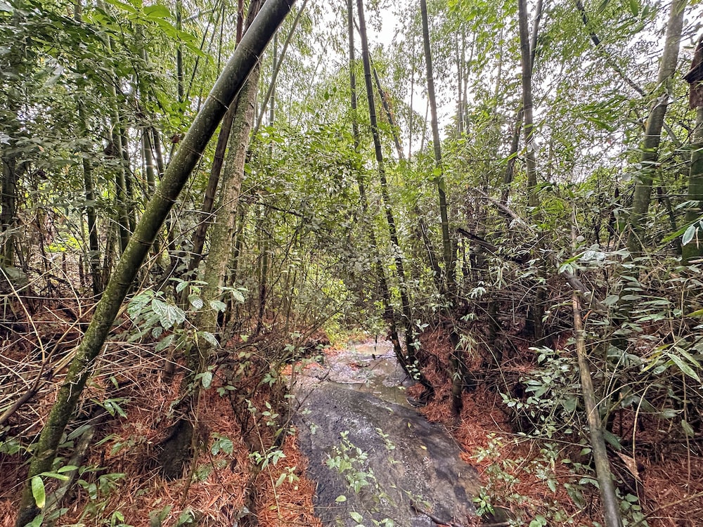 El Nido Andino