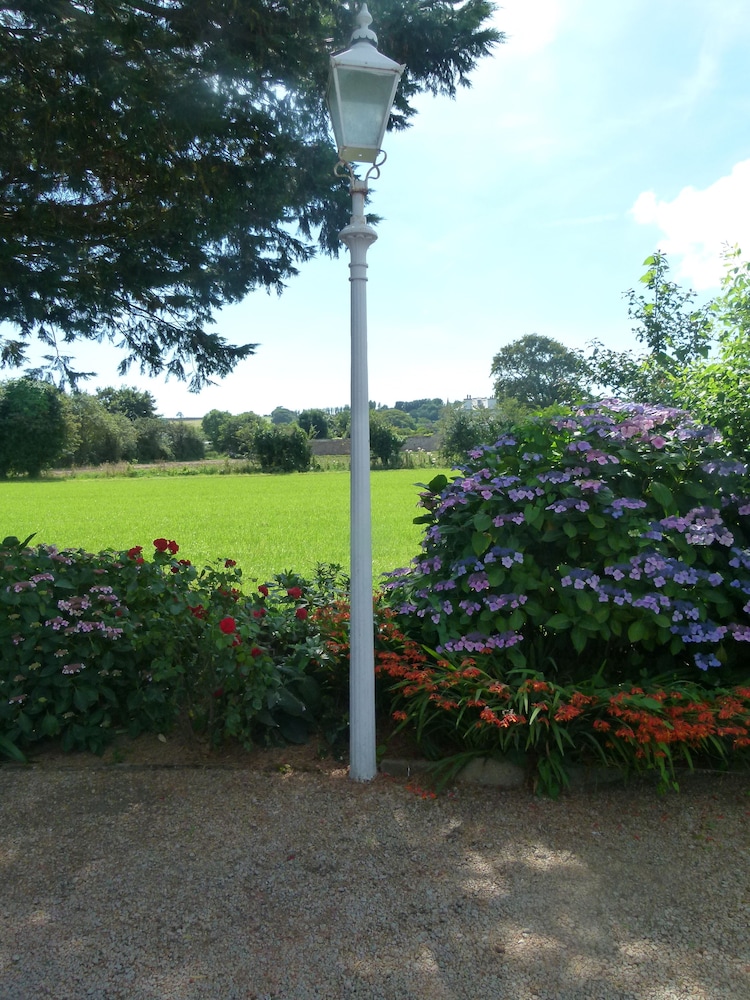 Photo 44