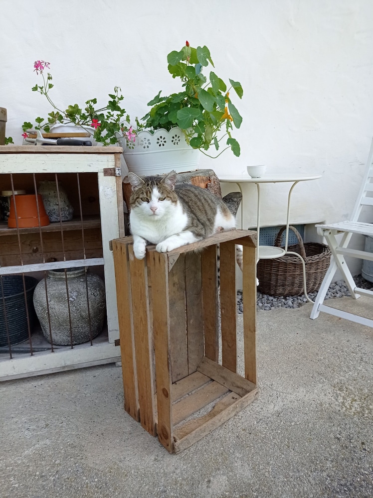 Rossweid Appartement