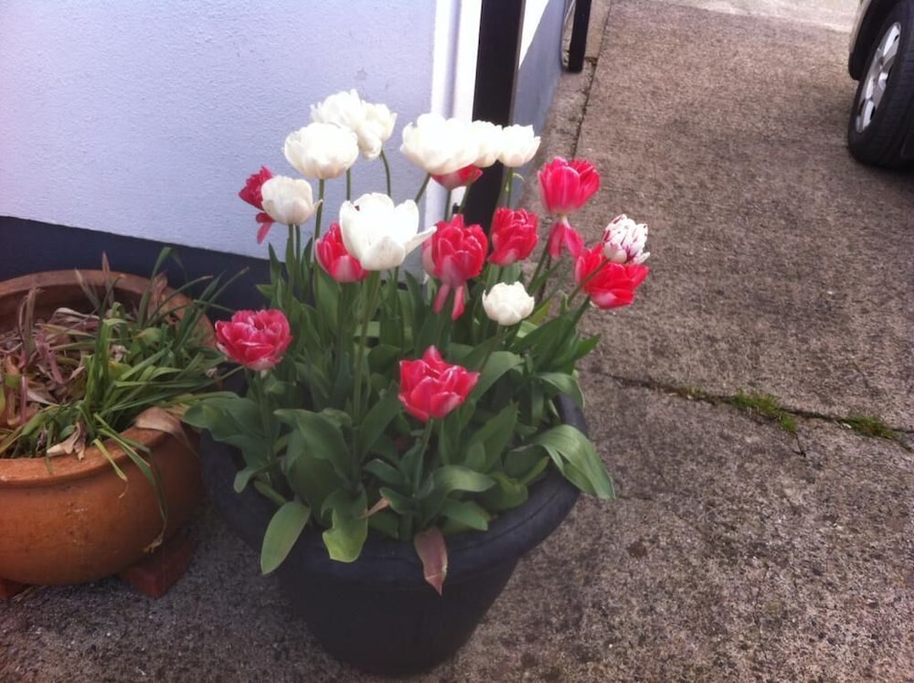 Photo 28