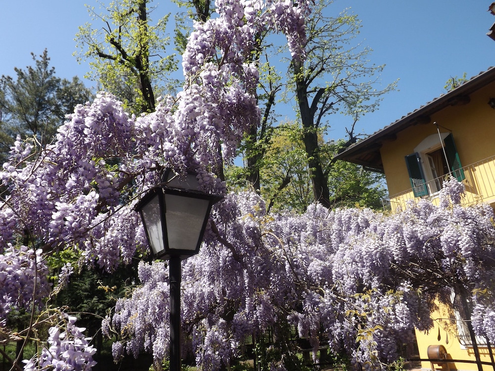 Villa Mirano B&B