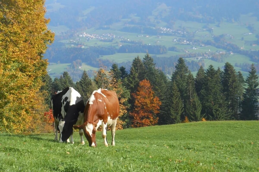 Ferienhof Roth en Sulzberg