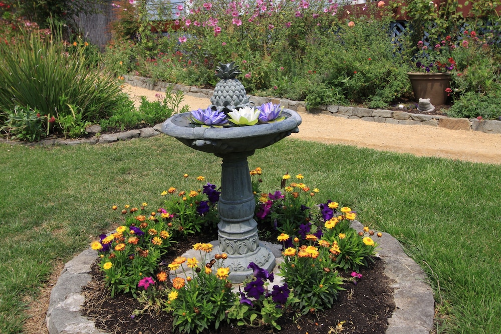 Photo 41