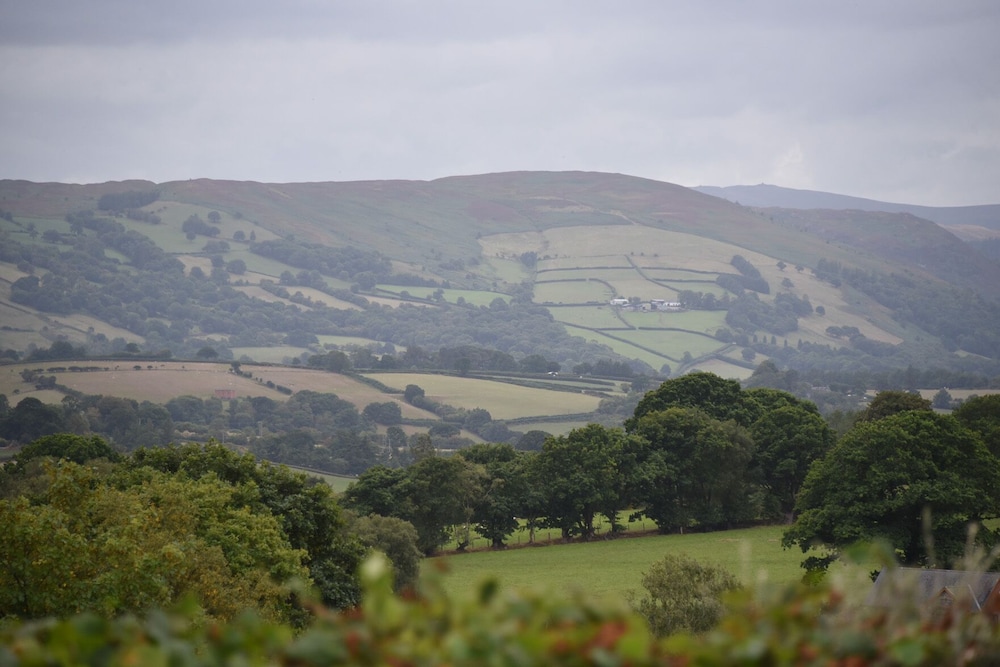 Hillside View