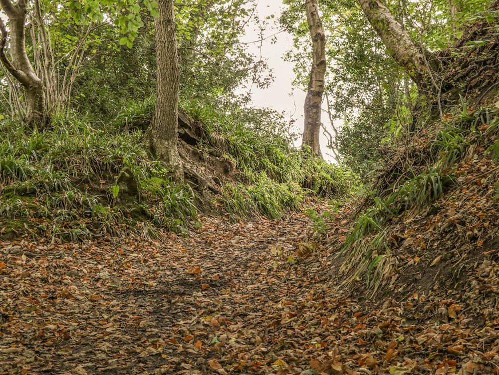 Glaisdale