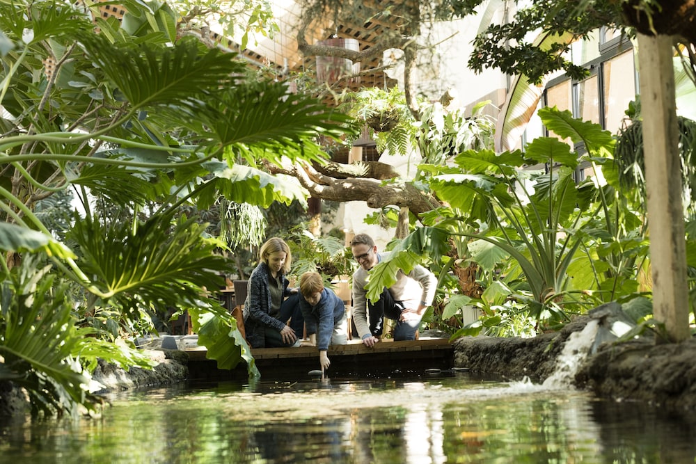 Center Parcs Le Bois aux Daims