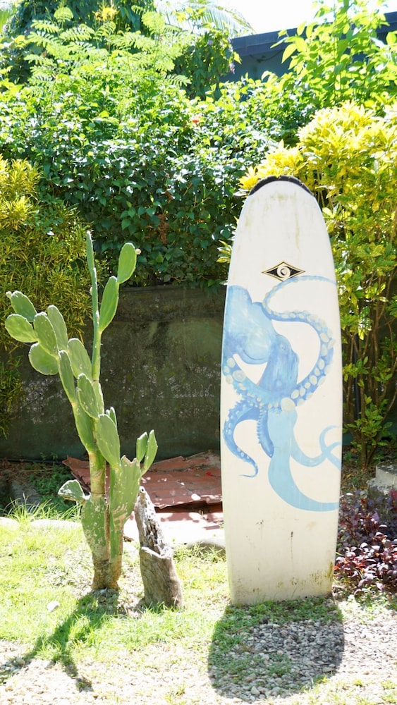 Don Jons Lodge -Surf & Yoga