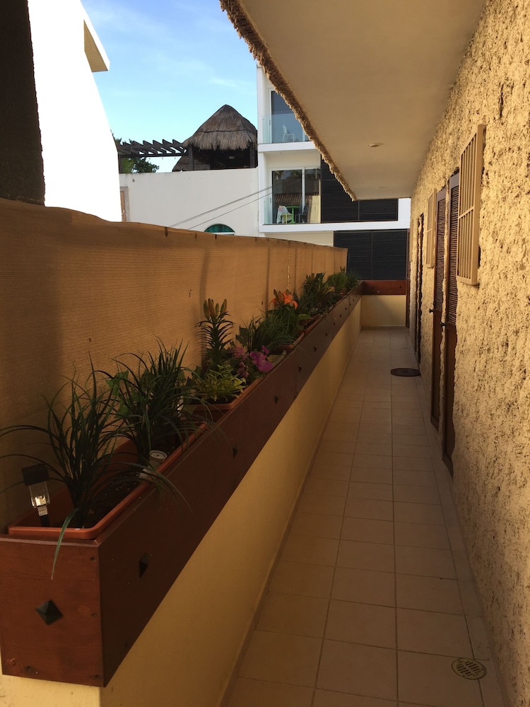 Suites on 5th in Playa del Carmen