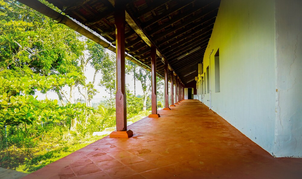Standard Double Room-wayanad view 4