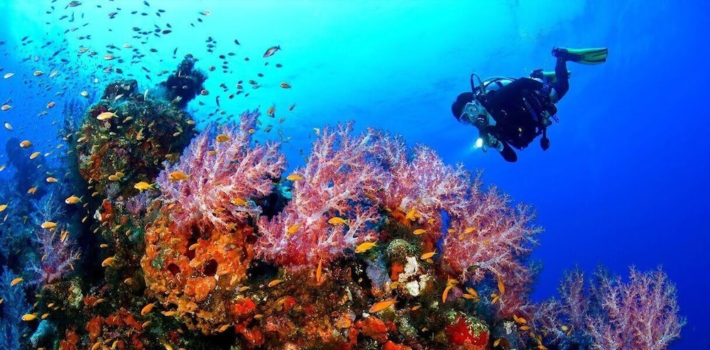 Photo 33