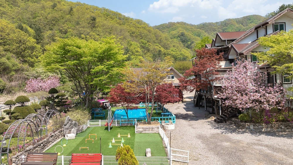 Gapeong Eoneunal Spa Pet Pension