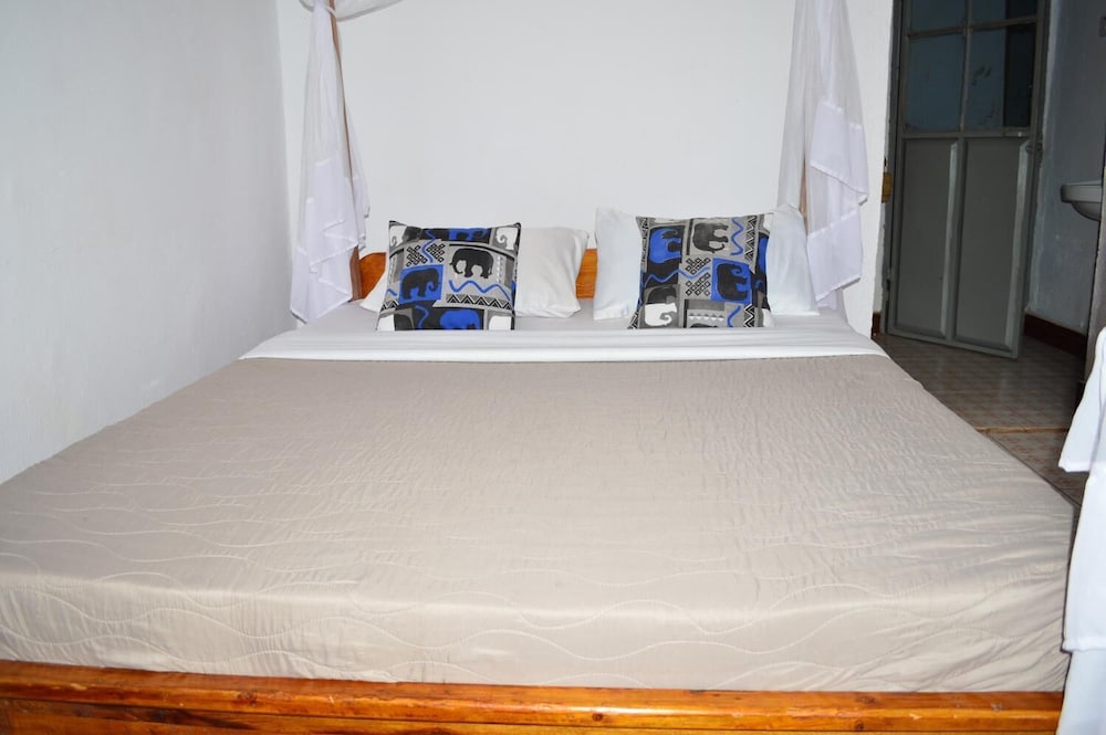 African wagtail hostel view 5