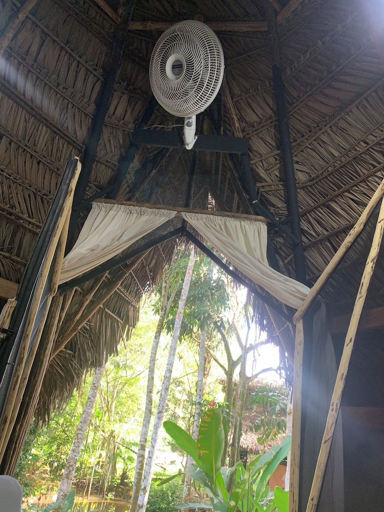 Satori