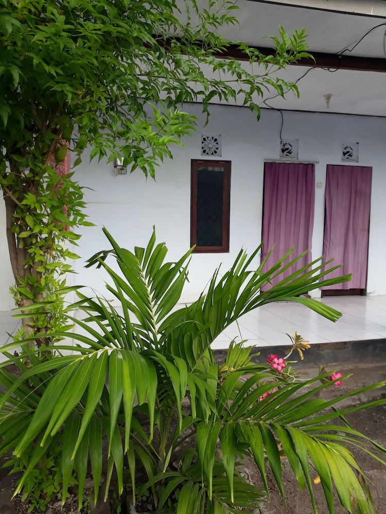 Photo 43