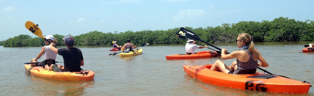 Palmento Grove Eco Cultural & Fishing Lodge