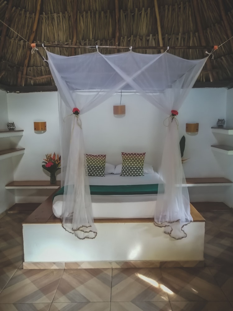 Prima Luna Palomino - Property Image 6