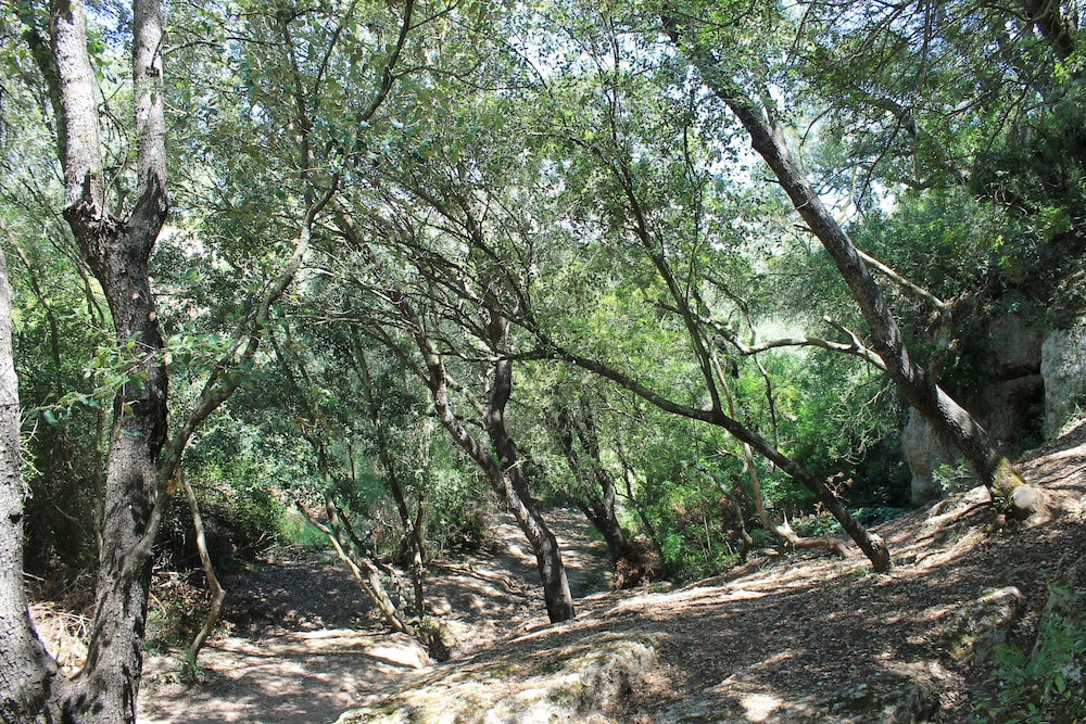 Photo 14