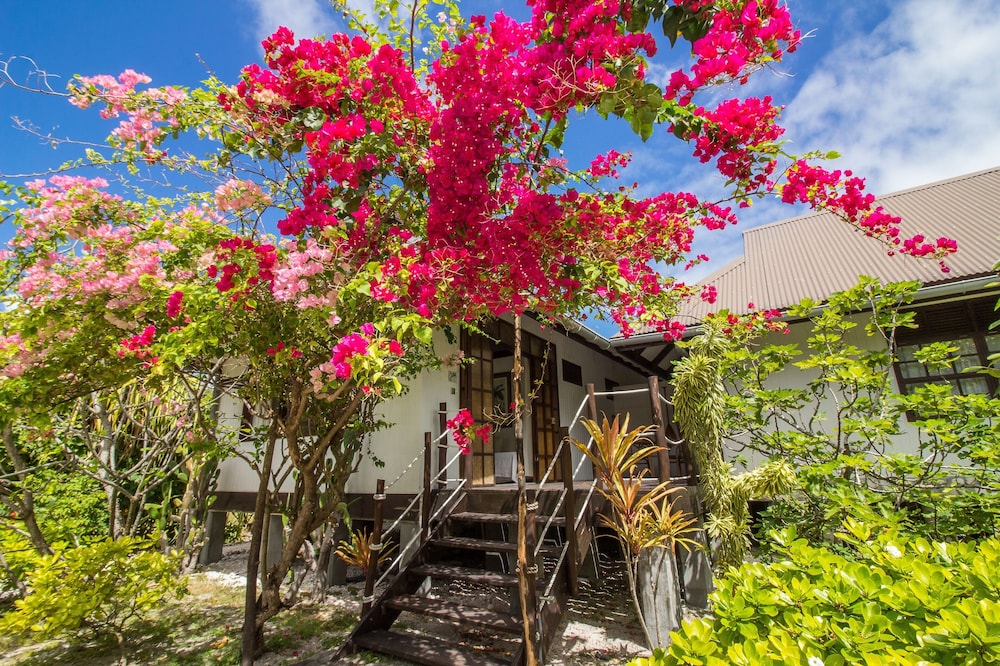Le Coconut Lodge
