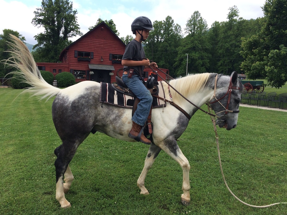 Pisgah View Ranch