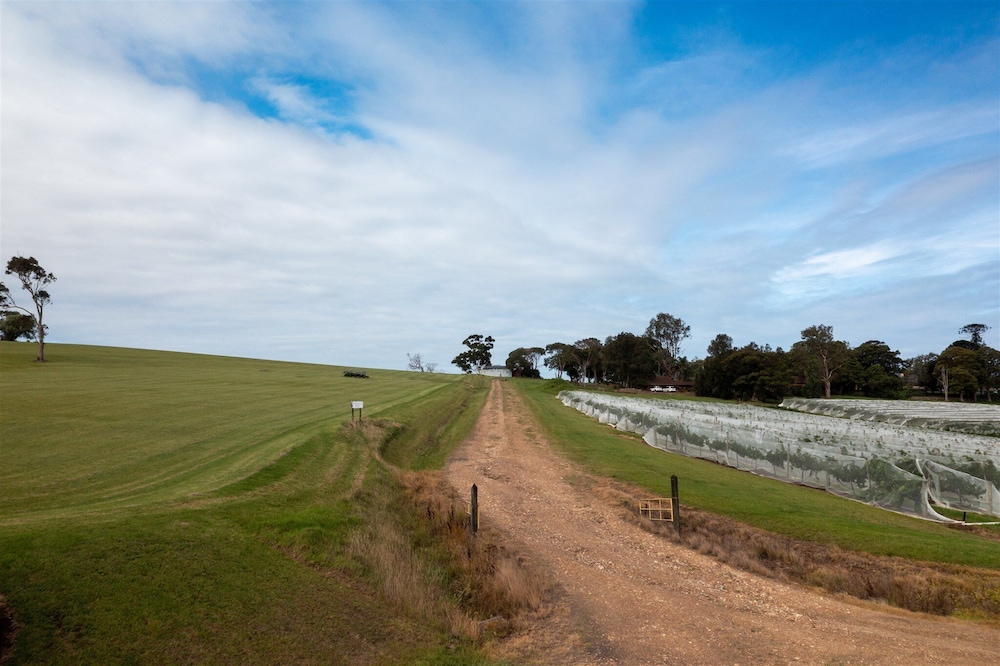 Coolangatta Estate
