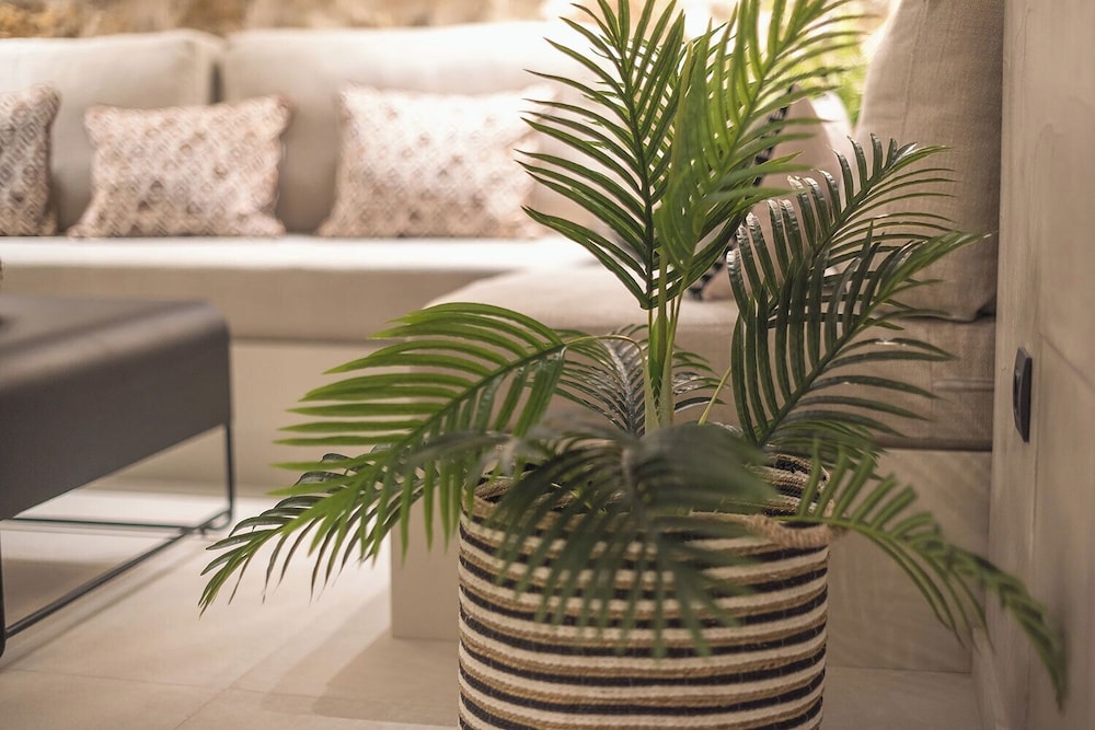 Apollonos 28 Luxury Suites
