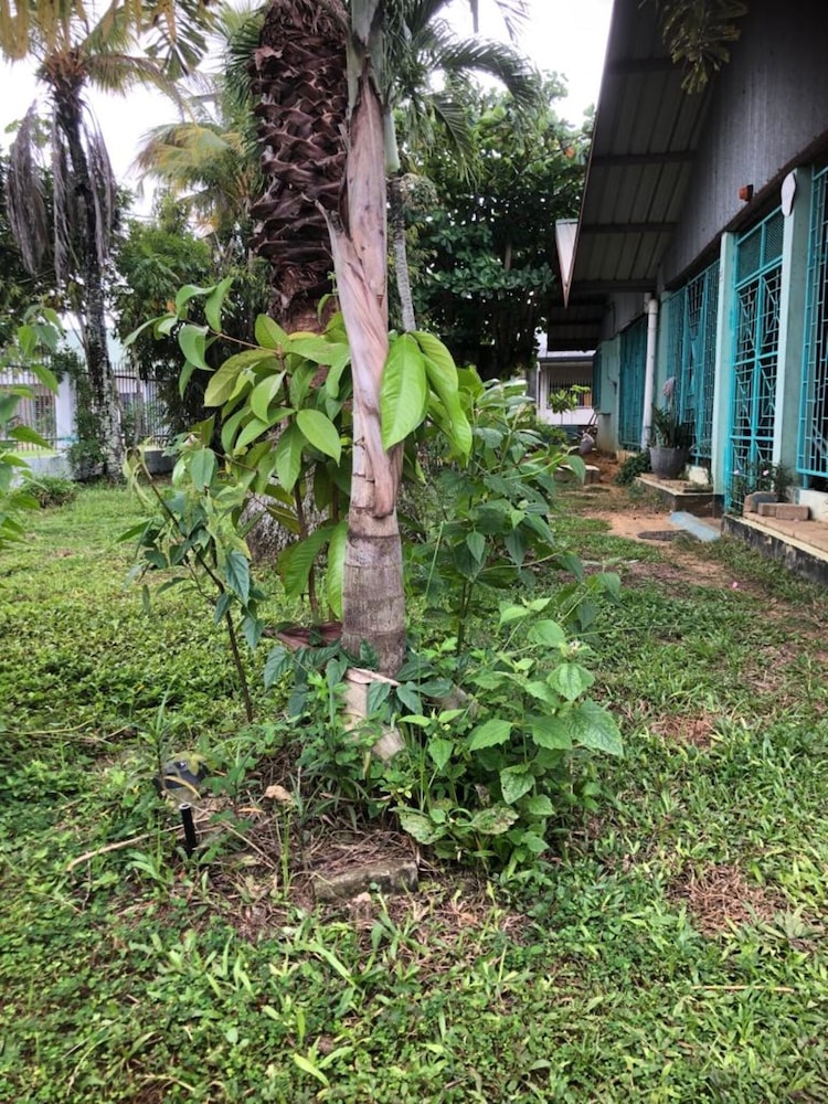 Unu Pikin Guesthouse